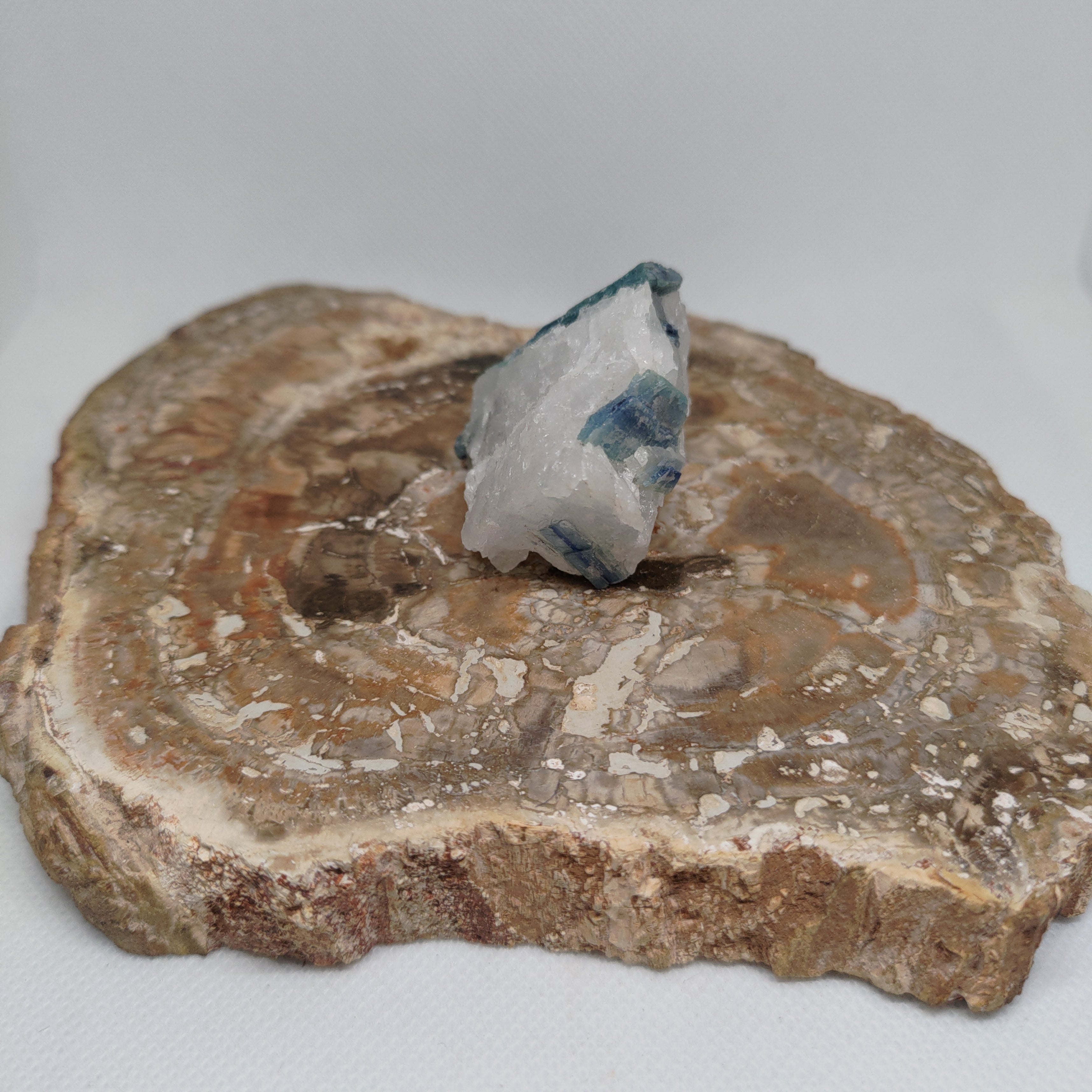 Blue Kyanite in Quartz Specimen from Pakistan Ref: 0171