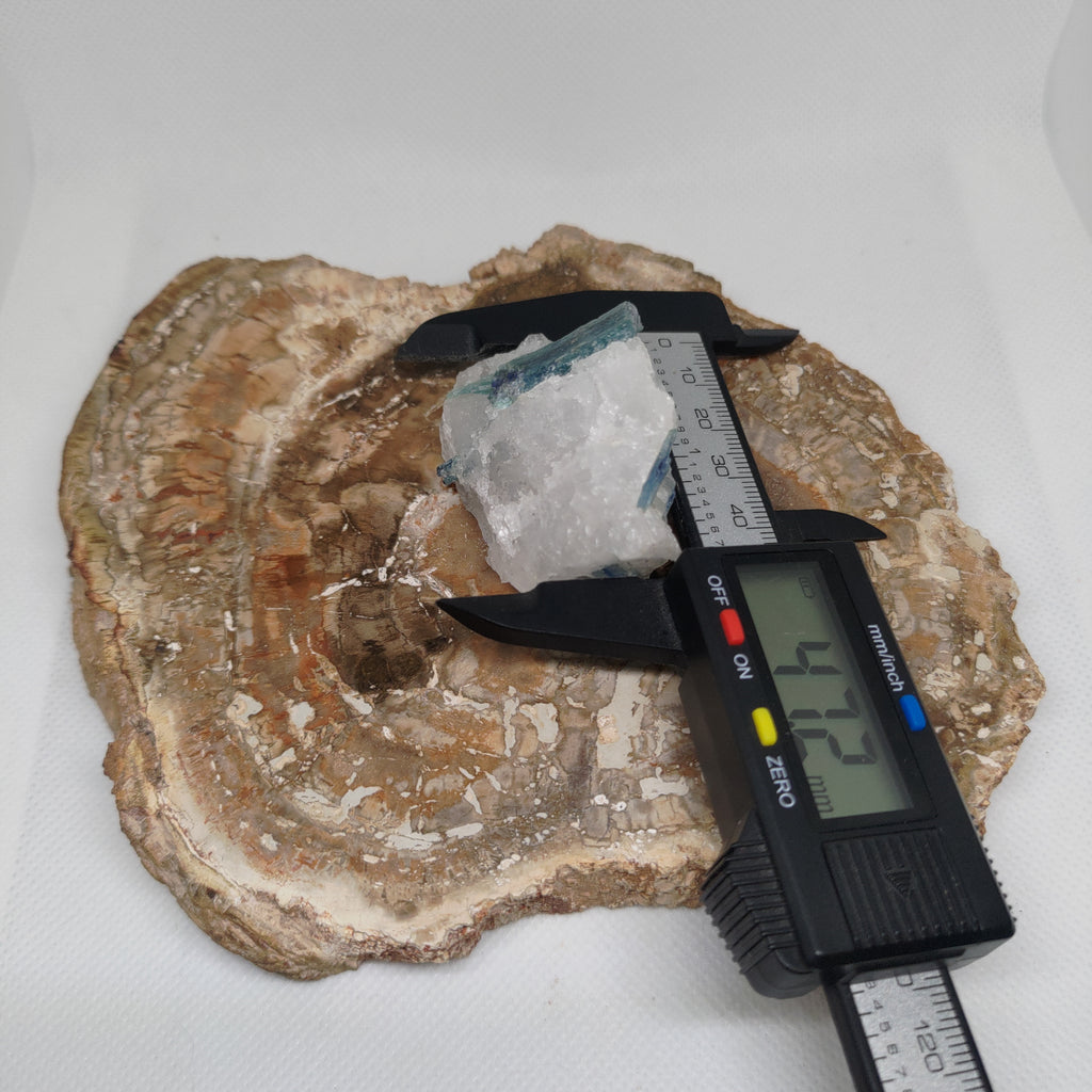 Blue Kyanite in Quartz Specimen from Pakistan Ref: 0171