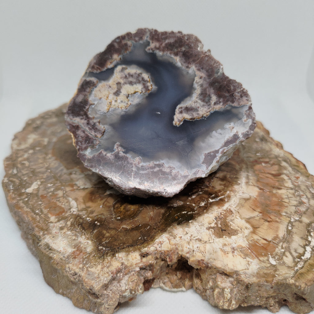 Oregon Thunderegg Ref: 0174