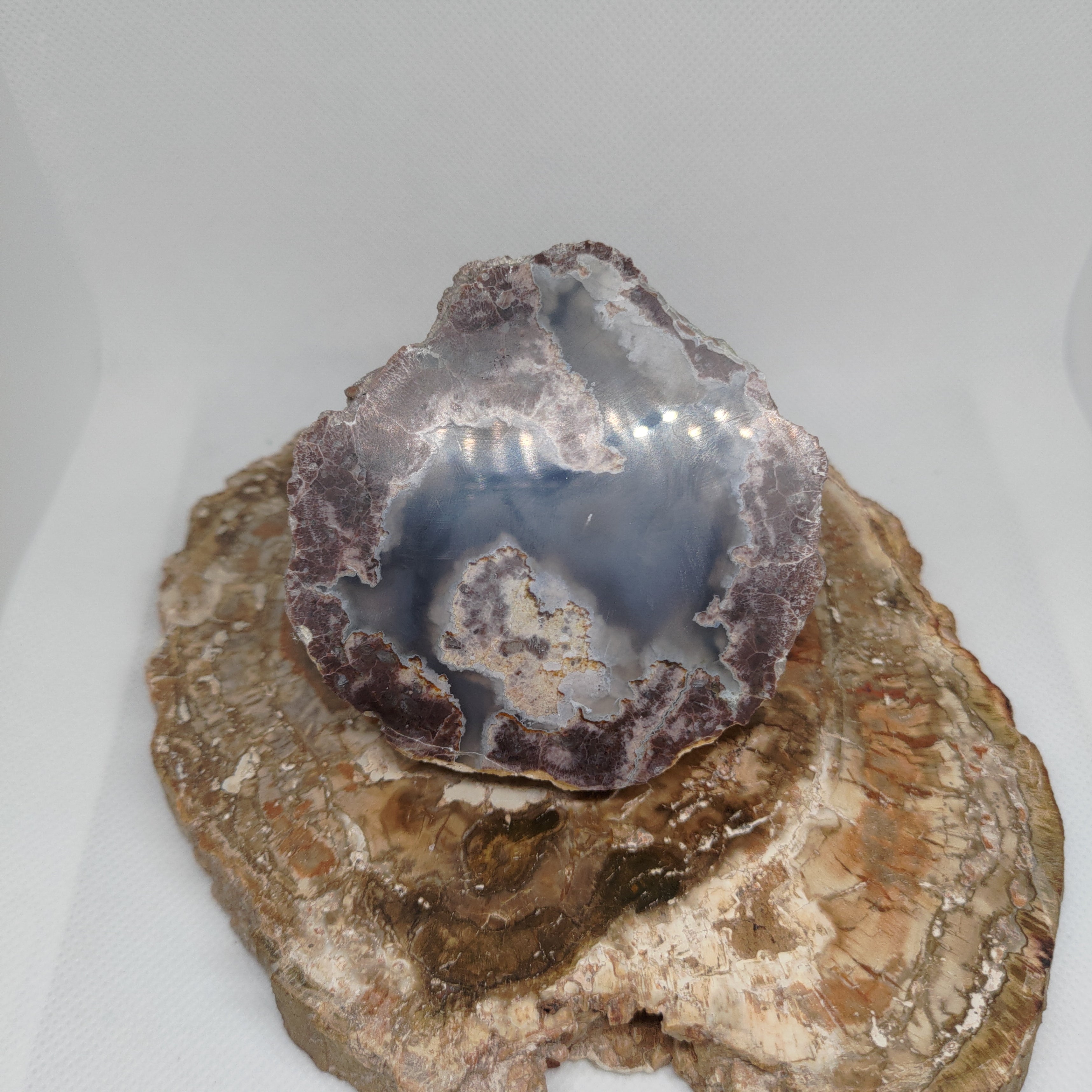 Oregon Thunderegg Ref: 0174