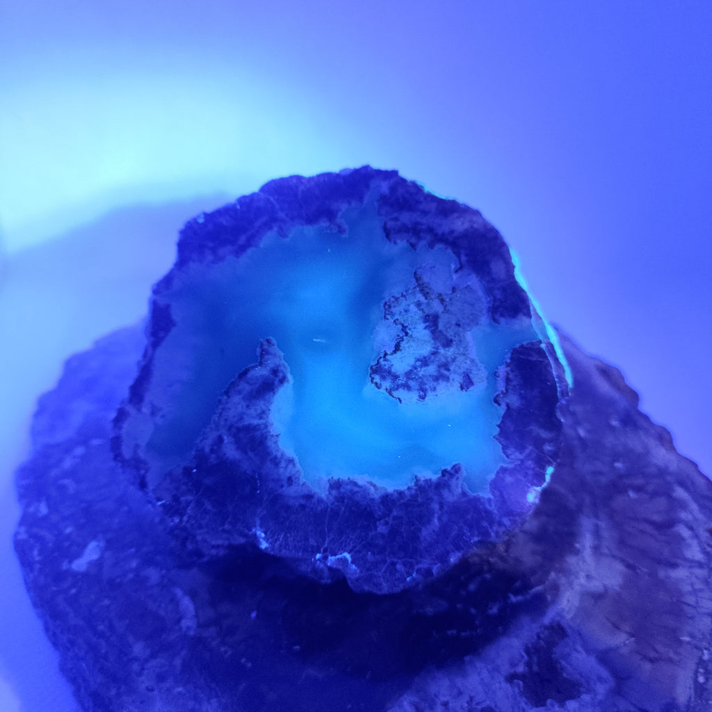 Oregon Thunderegg Ref: 0174