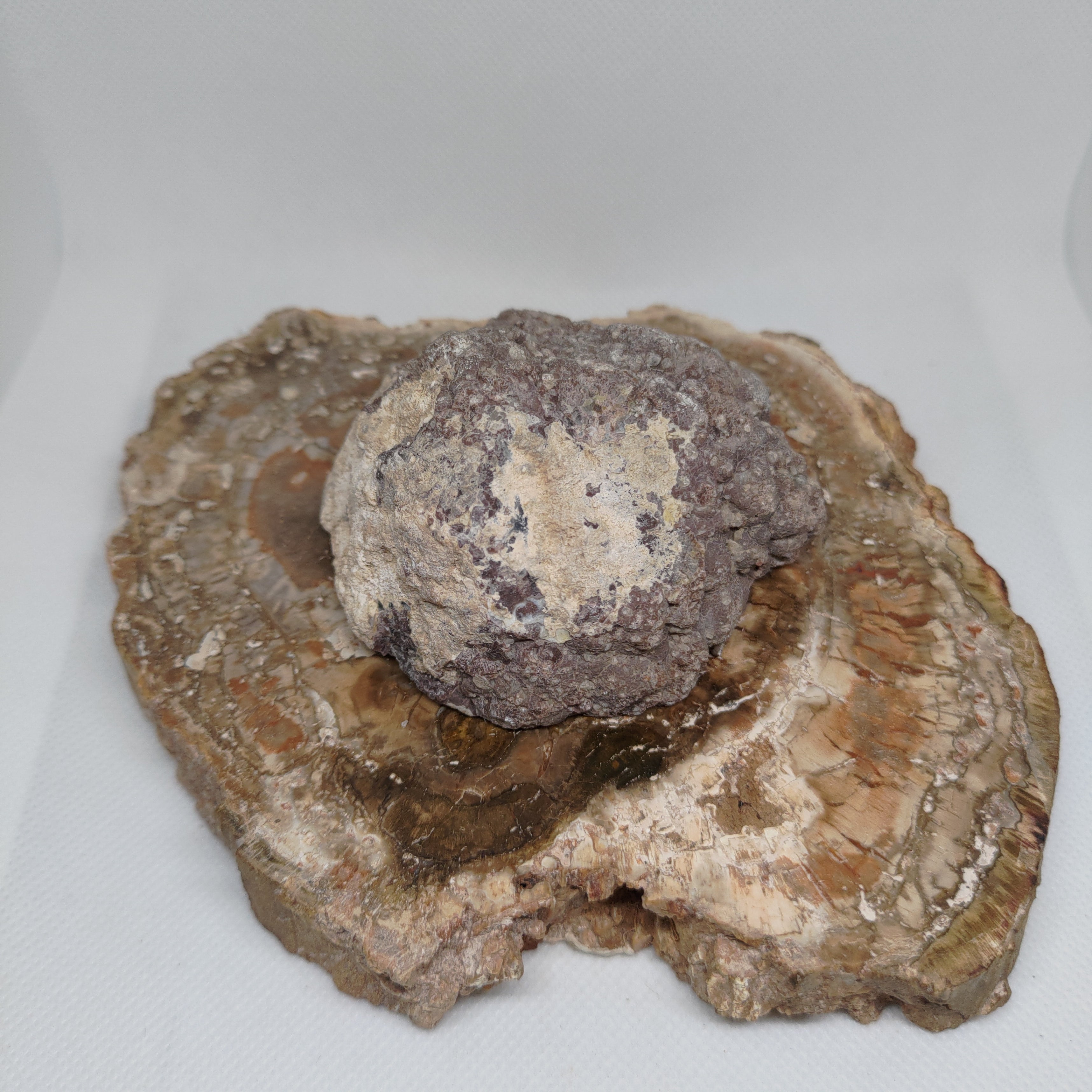 Oregon Thunderegg Ref: 0174