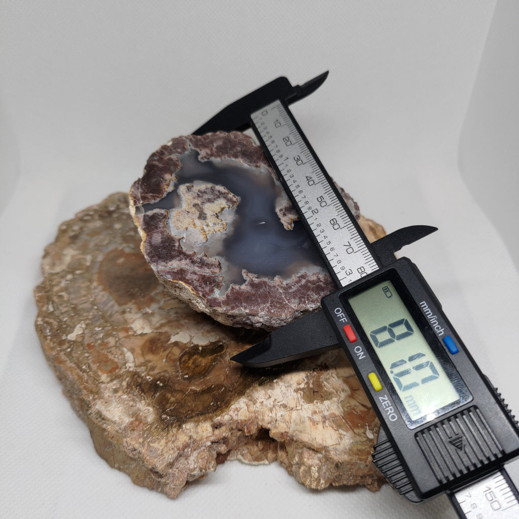 Oregon Thunderegg Ref: 0174