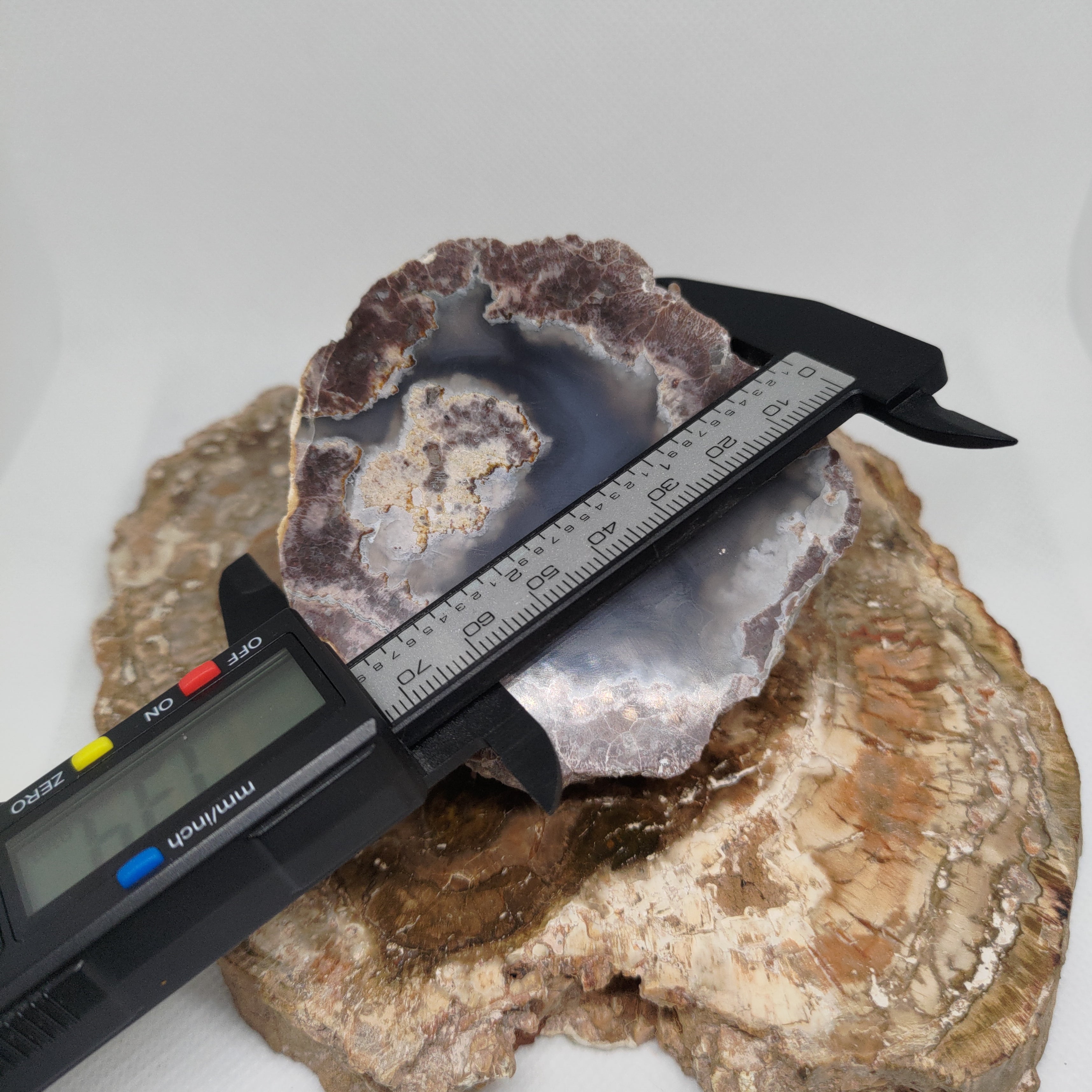 Oregon Thunderegg Ref: 0174