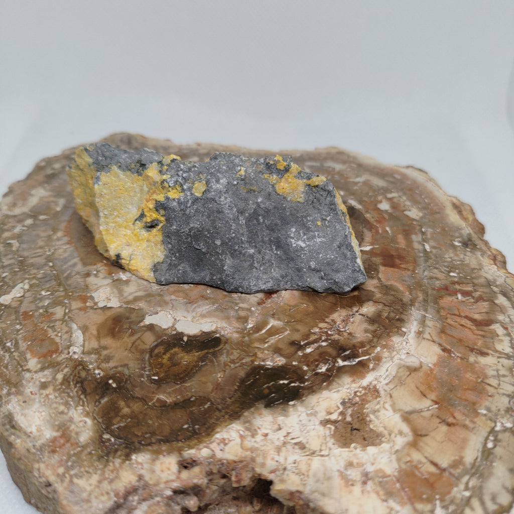 Bumble Bee Jasper Ref: 0179