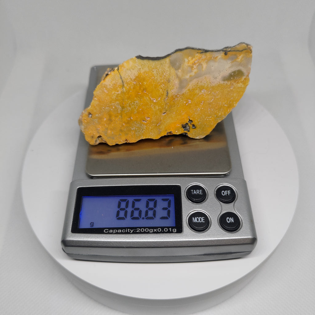 Bumble Bee Jasper Ref: 0179