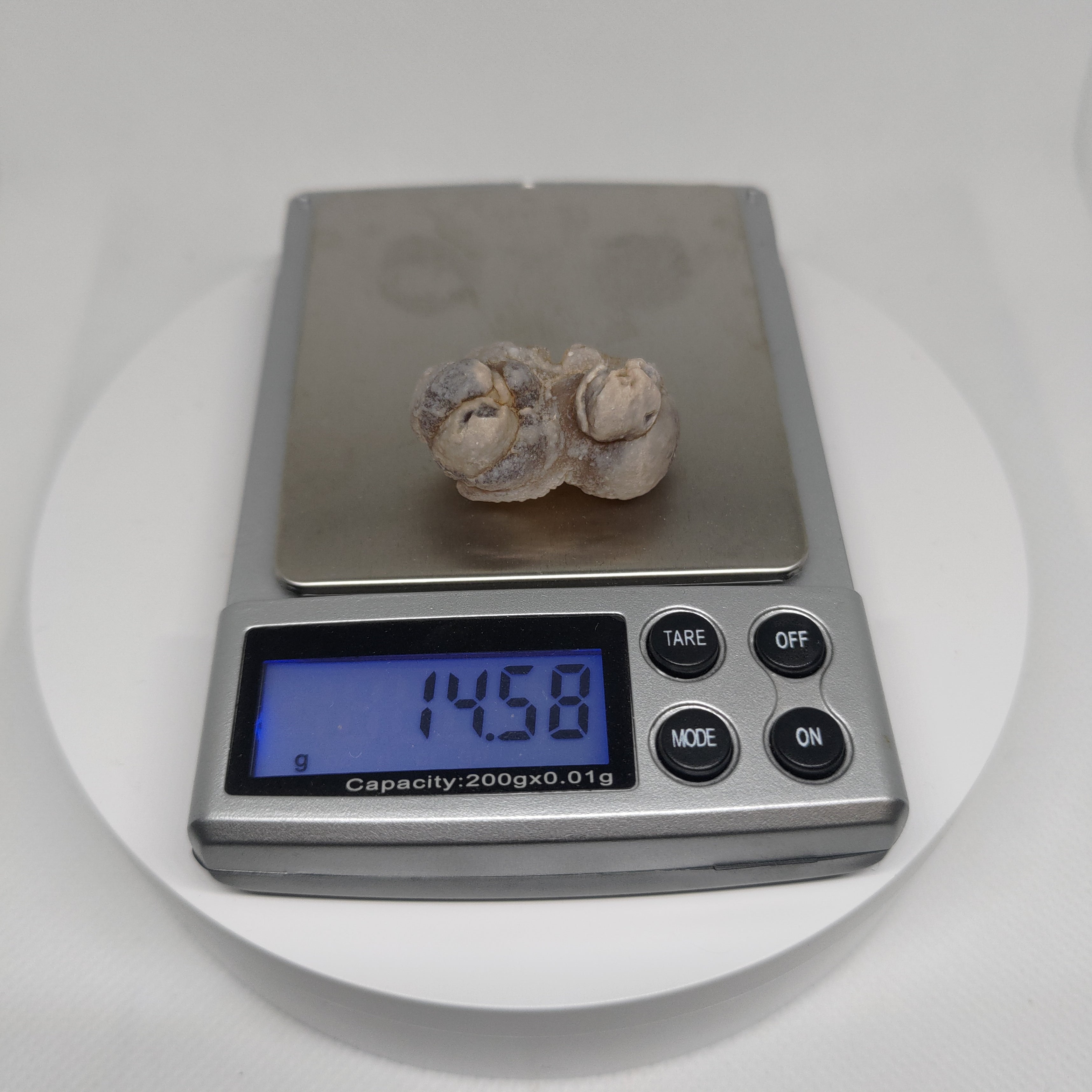 Panda Agate, also known as Truffle Chalcedony or Saharan Chalcedony Ref: 0185