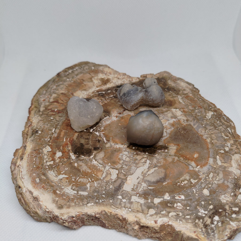 Panda Agate, also known as Truffle Chalcedony or Saharan Chalcedony Ref: 0185