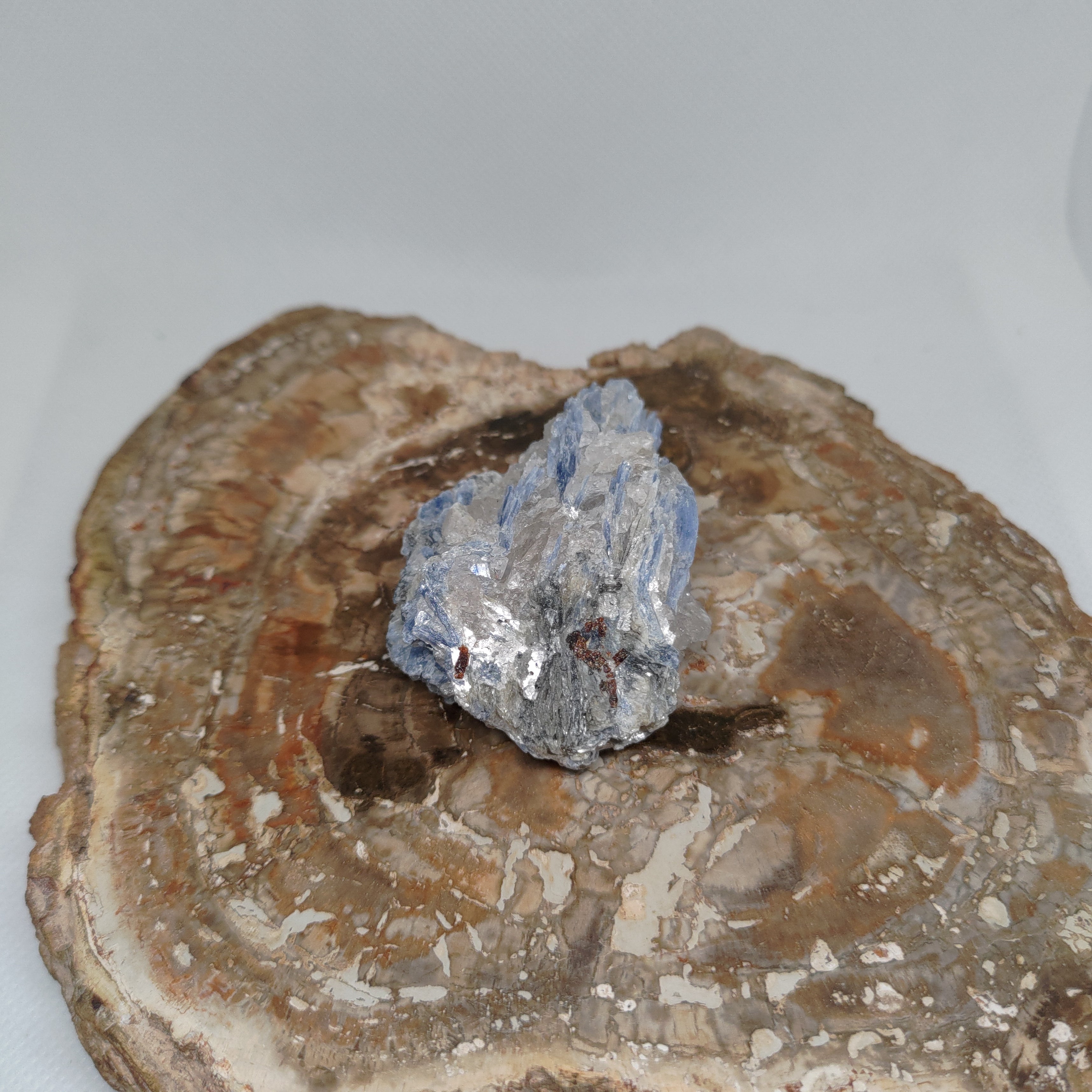 Kyanite in quartz Ref: 0186
