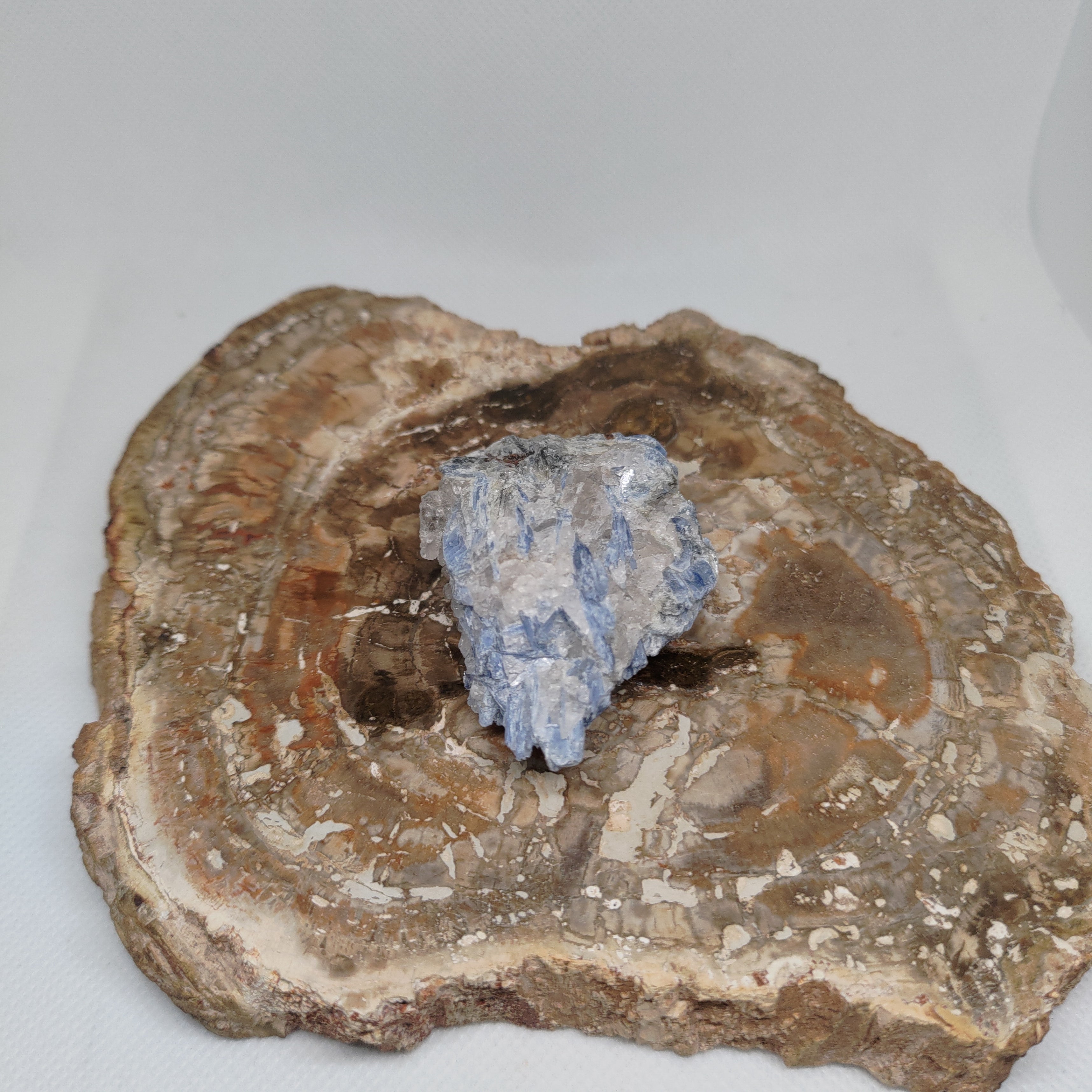 Kyanite in quartz Ref: 0186