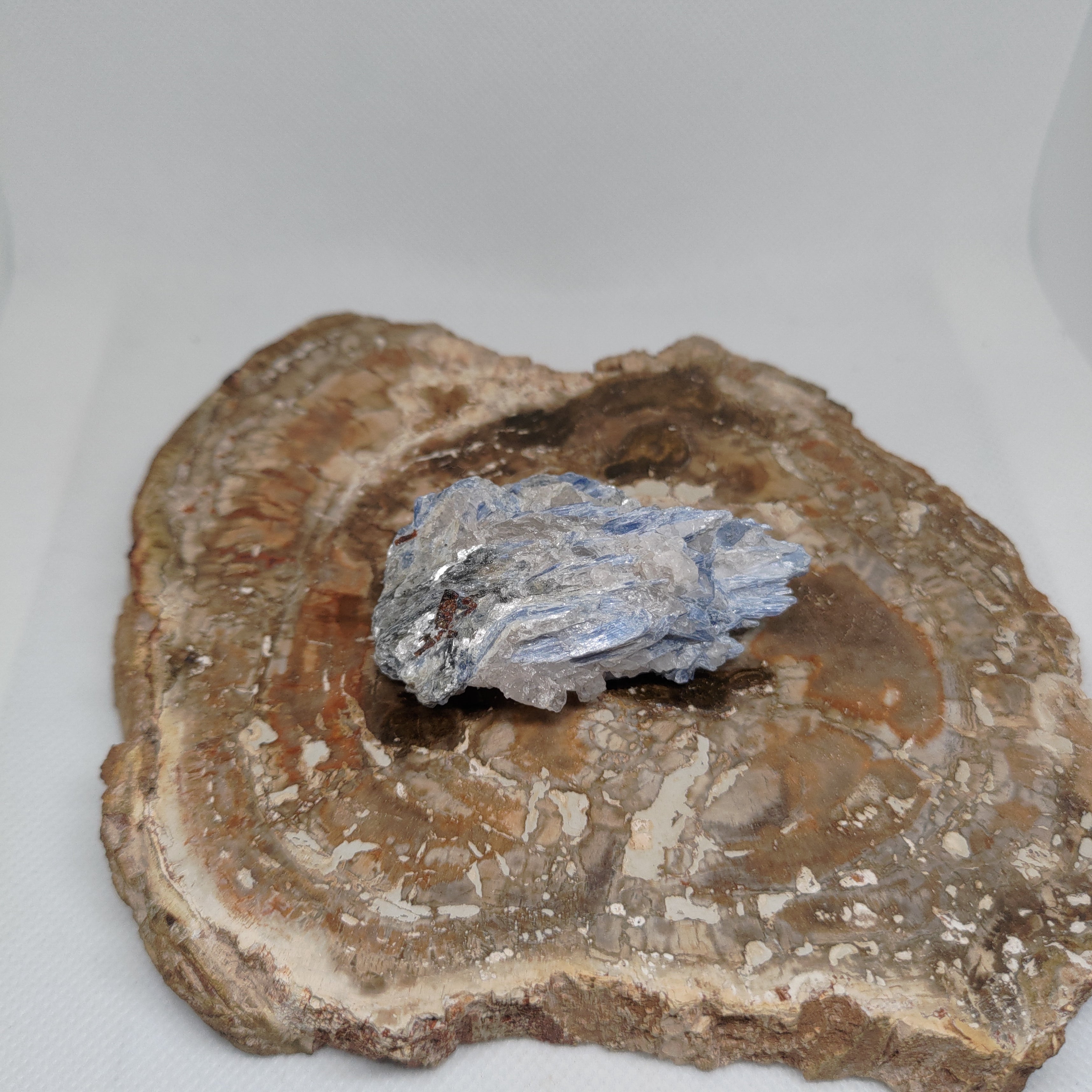 Kyanite in quartz Ref: 0186