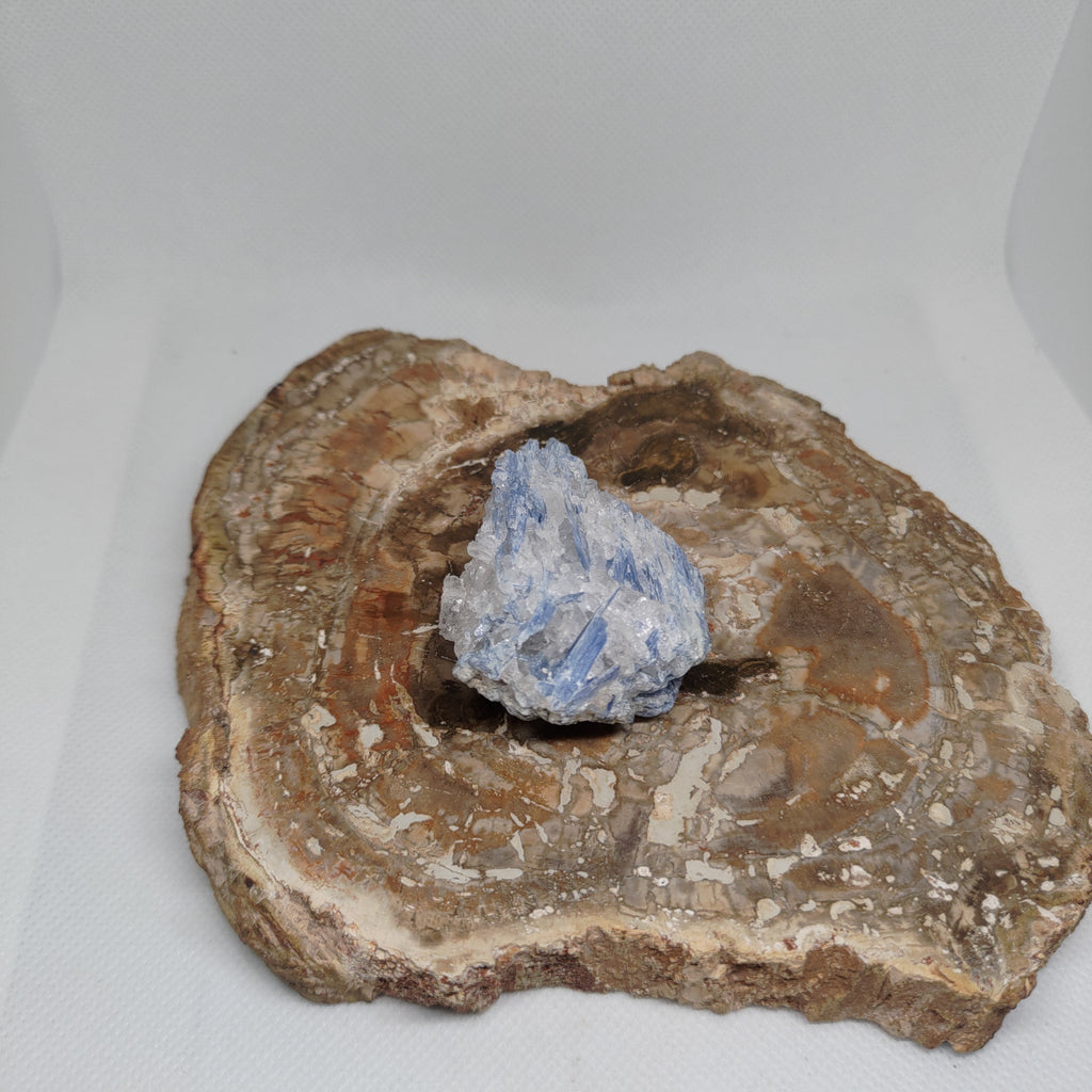Kyanite in quartz Ref: 0186