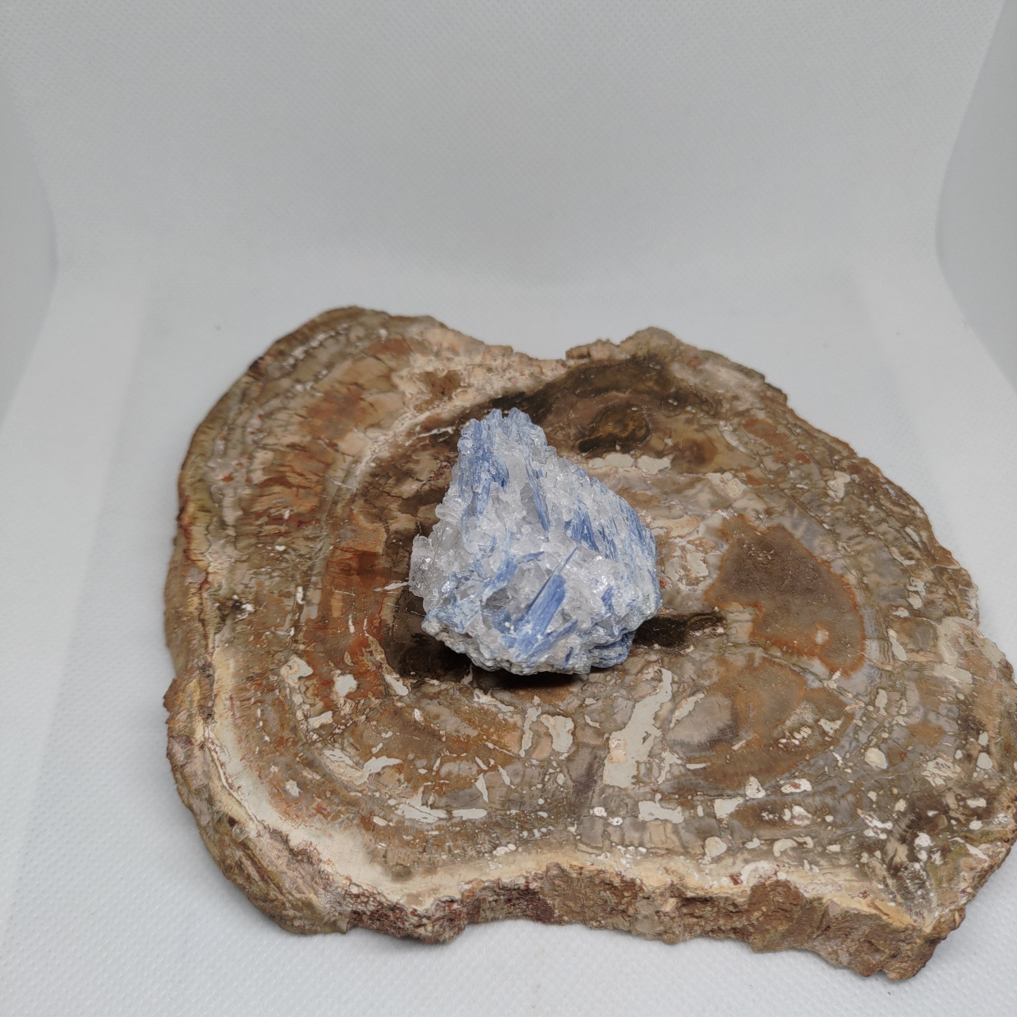 Kyanite in quartz Ref: 0186