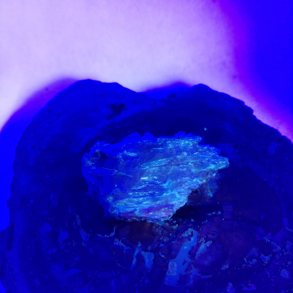 Kyanite in quartz Ref: 0186