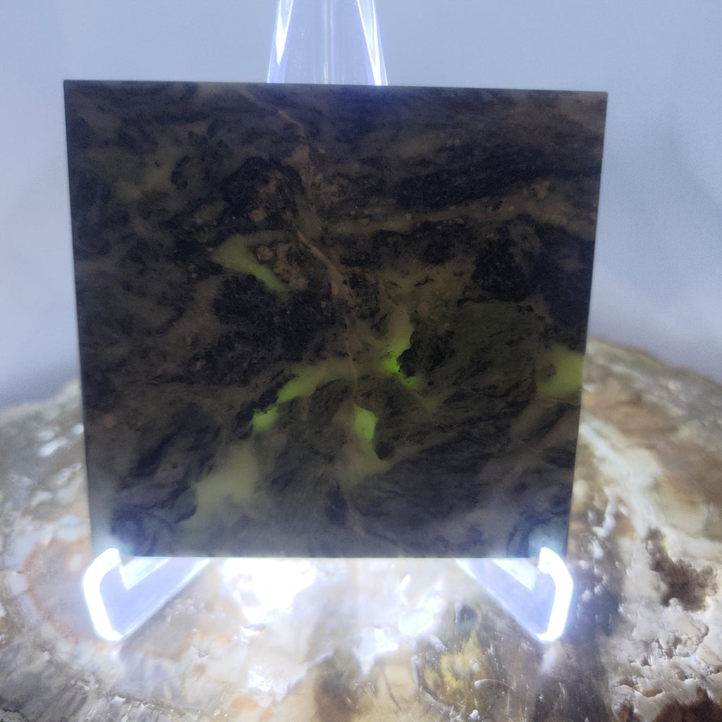 New Zealand Pounamu Display Slab Ref: 0195