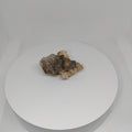Agatized Seashell Specimen Ref:0338