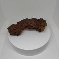 Genuine Coprolite (Fossilised Poo) – Unique Prehistoric Fossil Specimen Ref:0344