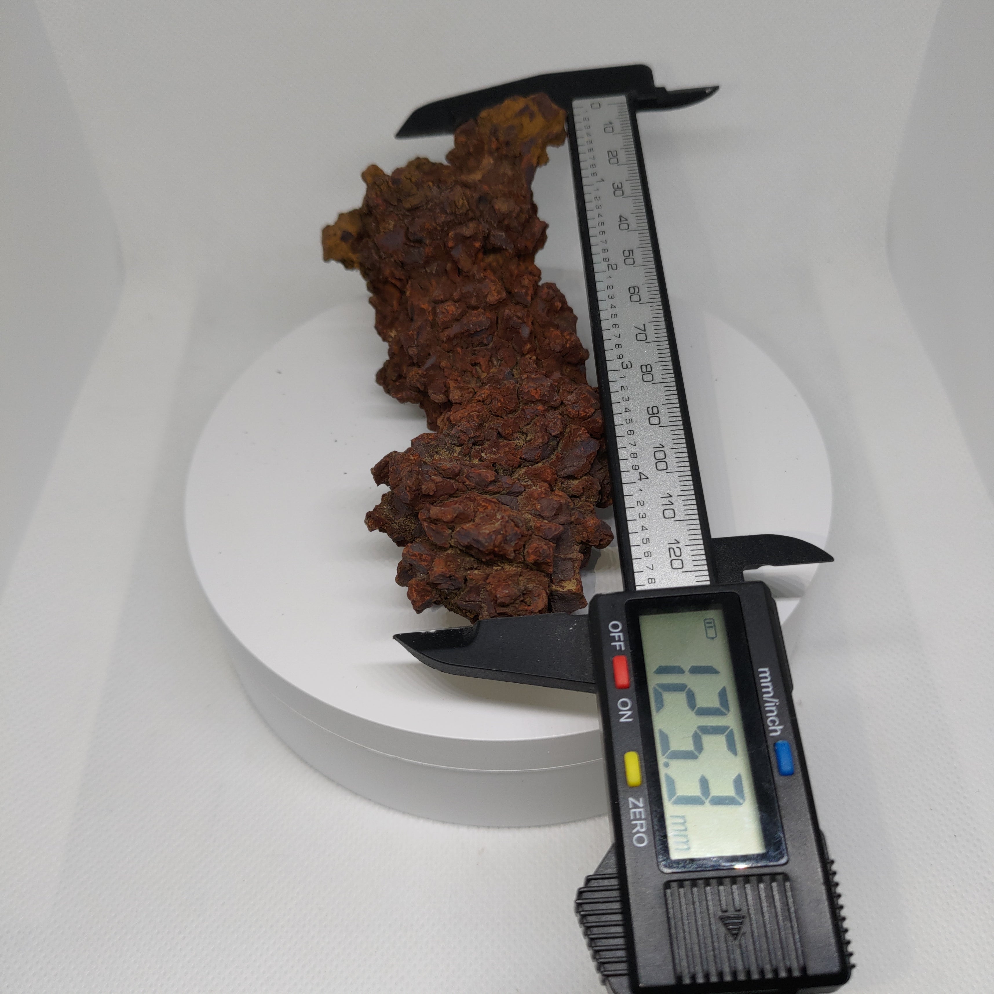 Genuine Coprolite (Fossilised Poo) – Unique Prehistoric Fossil Specimen Ref:0344