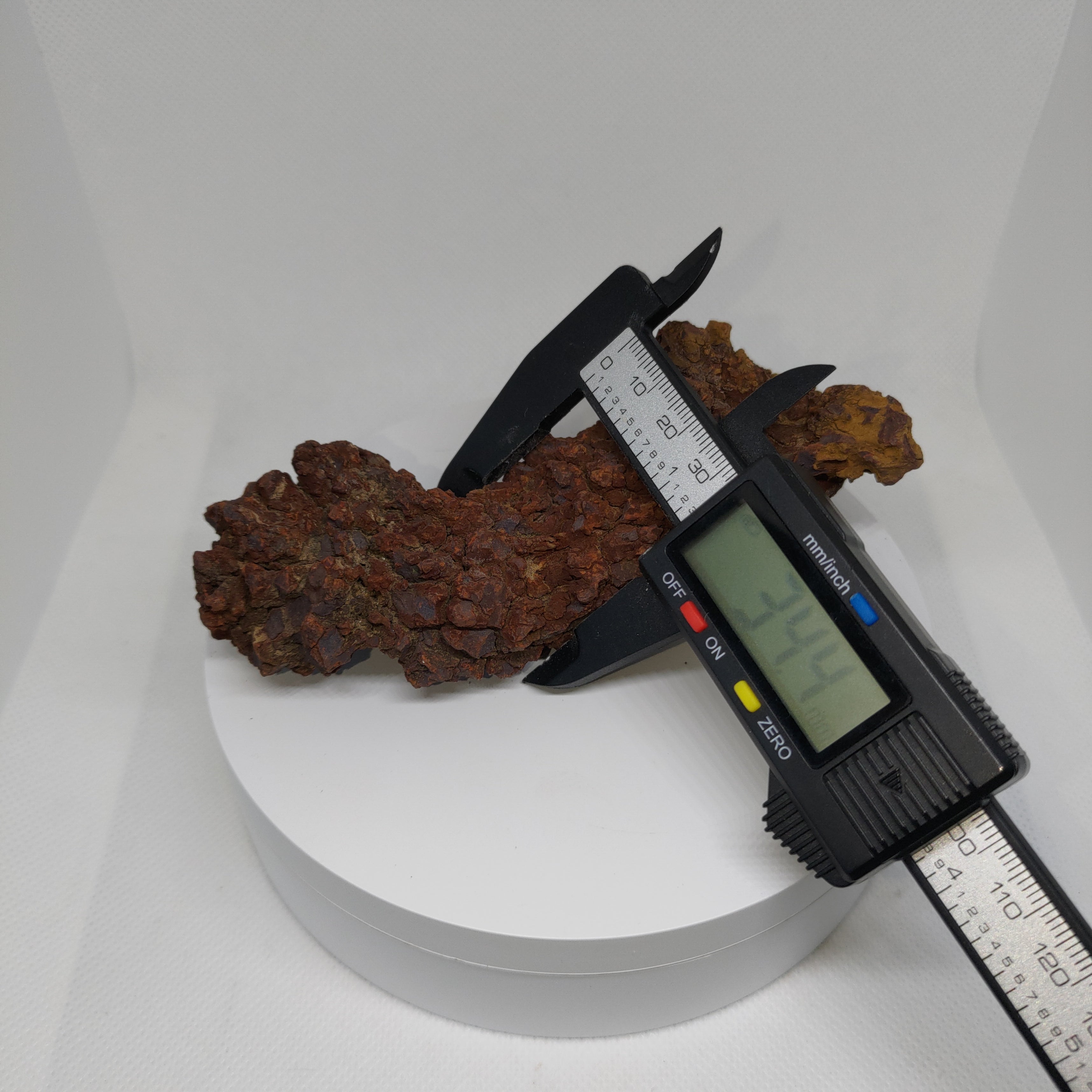 Genuine Coprolite (Fossilised Poo) – Unique Prehistoric Fossil Specimen Ref:0344