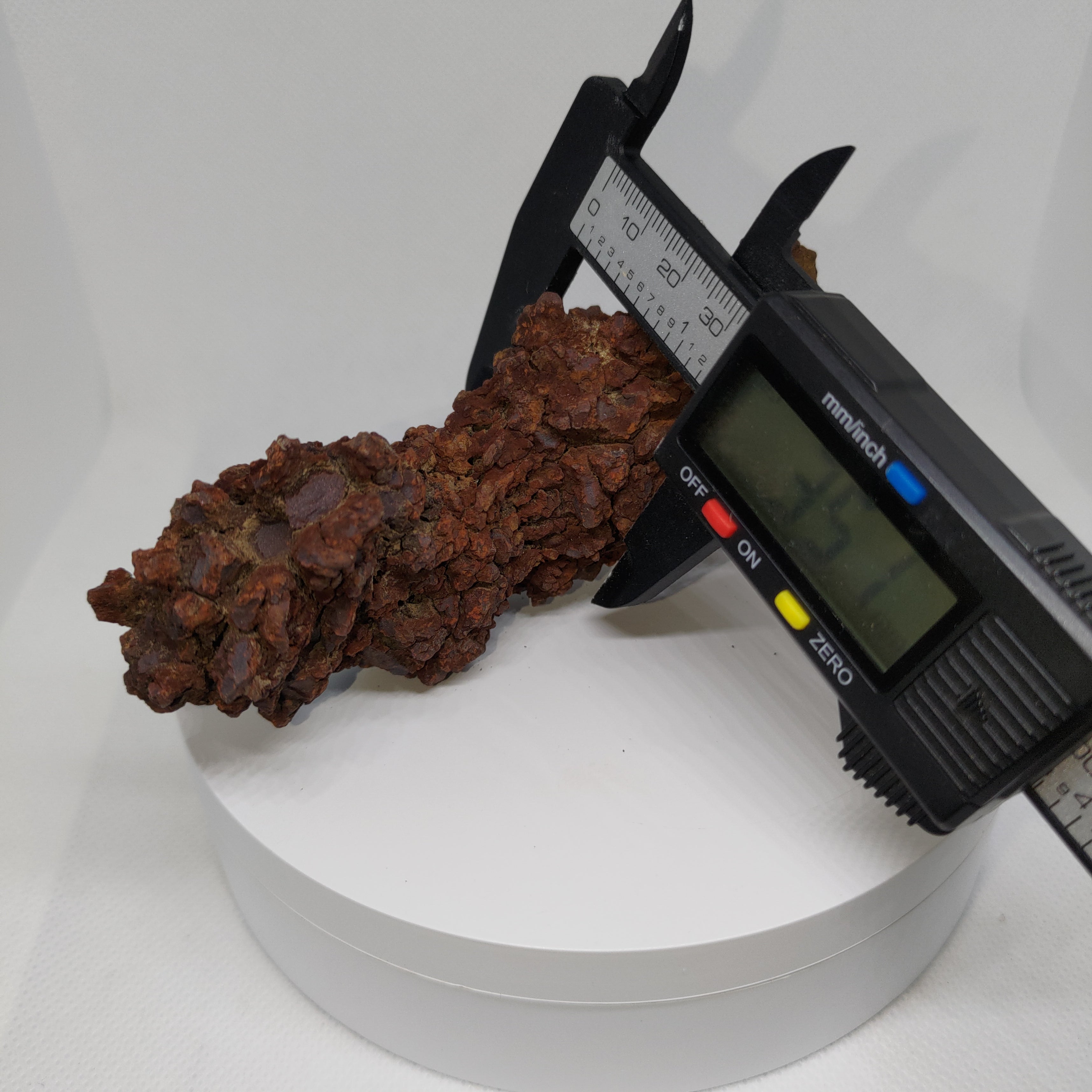Genuine Coprolite (Fossilised Poo) – Unique Prehistoric Fossil Specimen Ref:0344