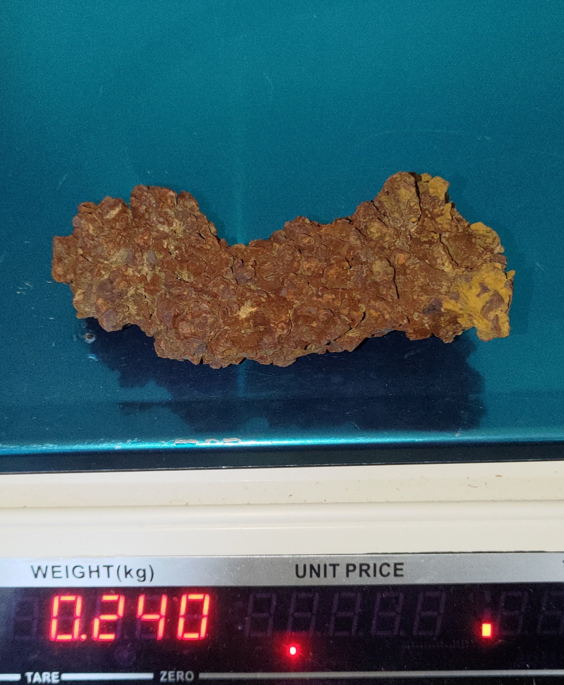 Genuine Coprolite (Fossilised Poo) – Unique Prehistoric Fossil Specimen Ref:0344
