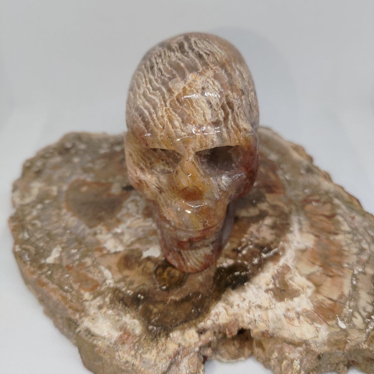 Thousand Layer Garden Quartz Skull Ref: 0378