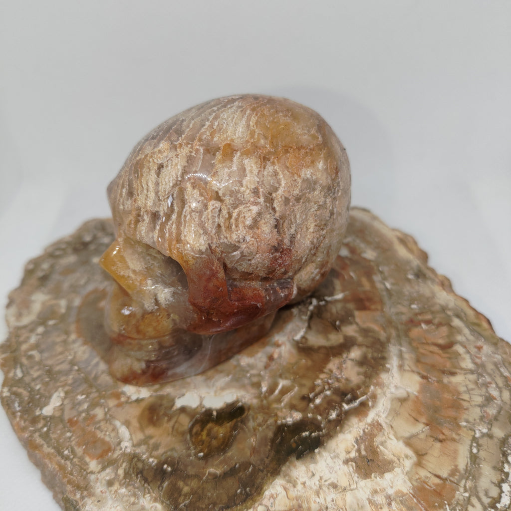 Thousand Layer Garden Quartz Skull Ref: 0378