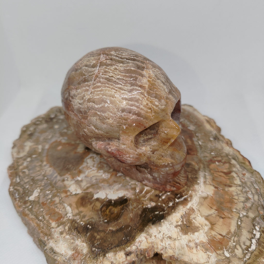 Thousand Layer Garden Quartz Skull Ref: 0378