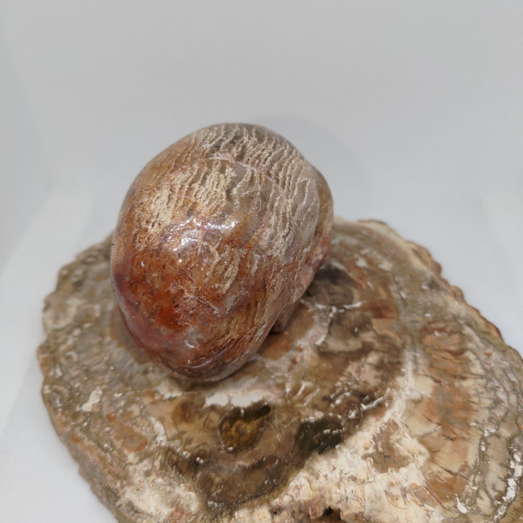Thousand Layer Garden Quartz Skull Ref: 0378