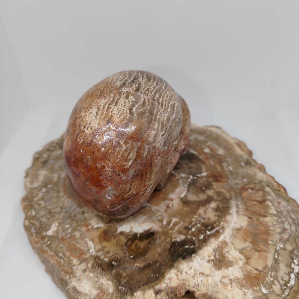 Thousand Layer Garden Quartz Skull Ref: 0378