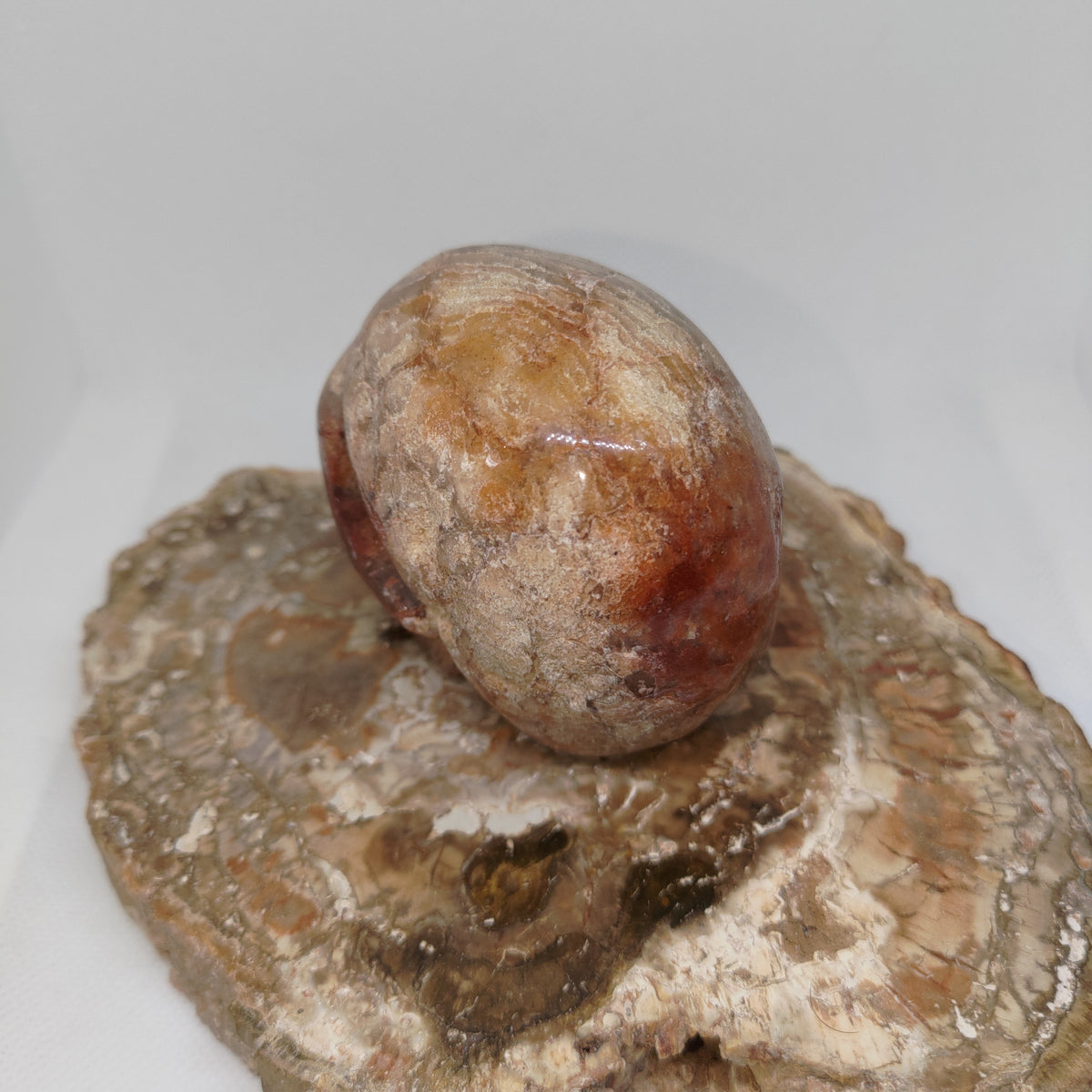 Thousand Layer Garden Quartz Skull Ref: 0378