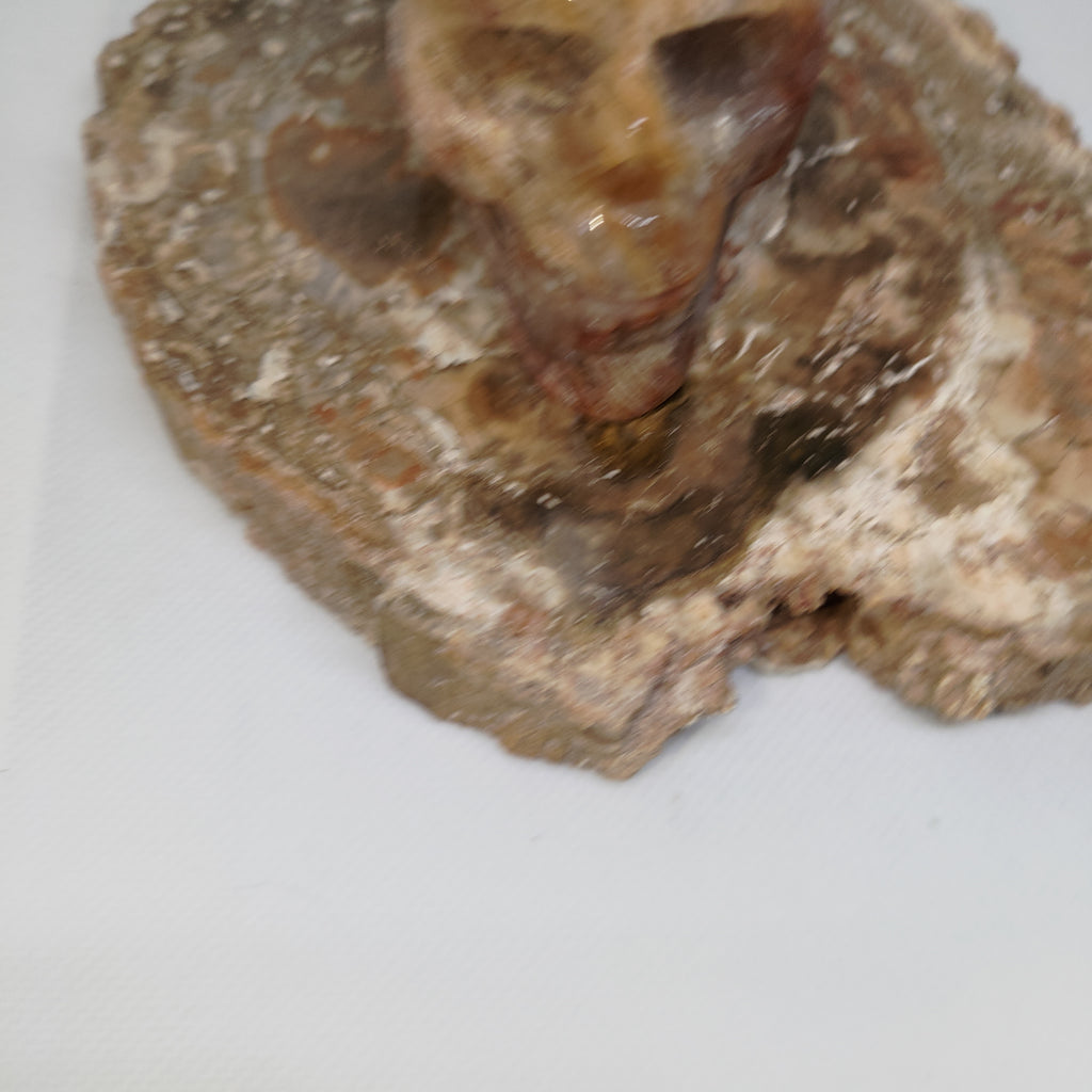Thousand Layer Garden Quartz Skull Ref: 0378