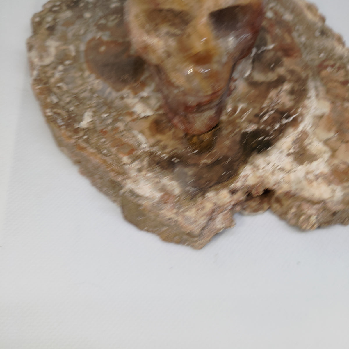 Thousand Layer Garden Quartz Skull Ref: 0378