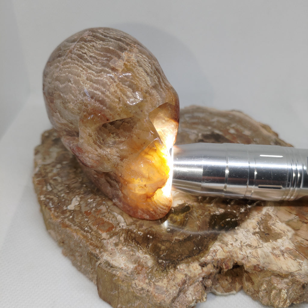 Thousand Layer Garden Quartz Skull Ref: 0378