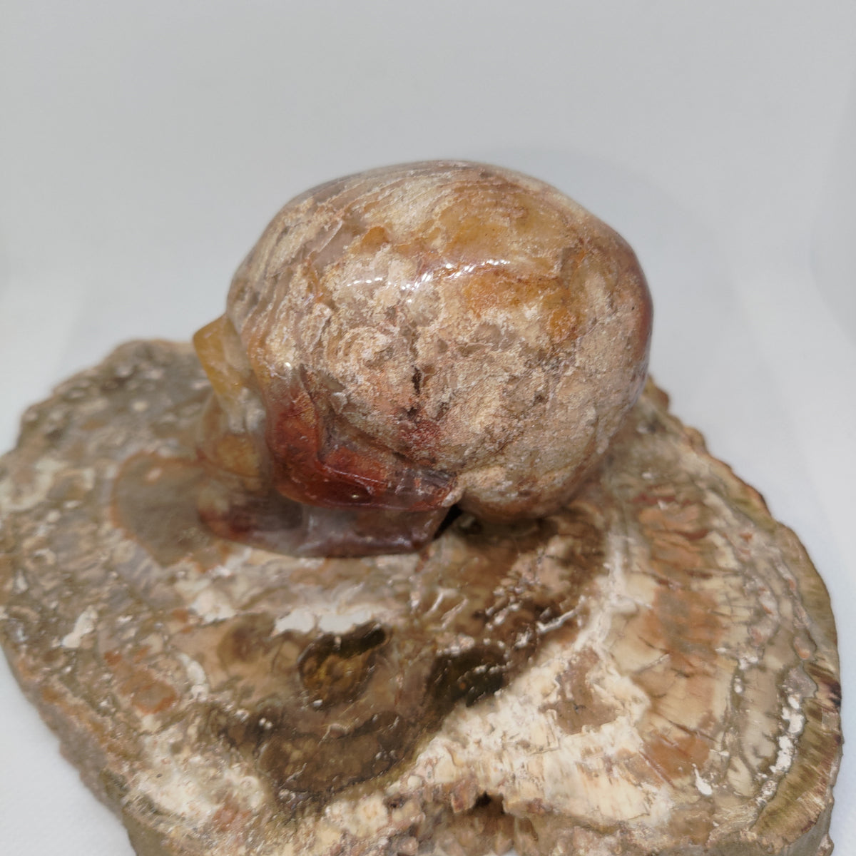 Thousand Layer Garden Quartz Skull Ref: 0378