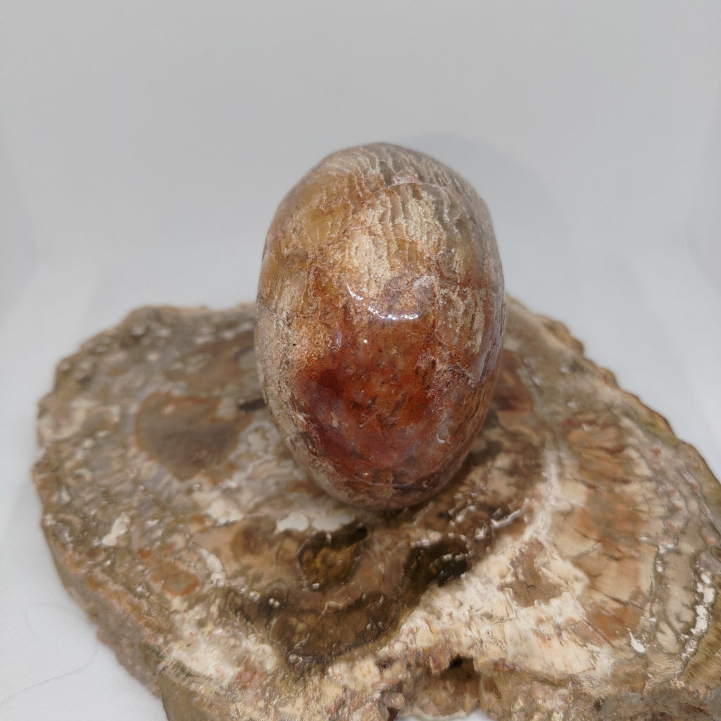 Thousand Layer Garden Quartz Skull Ref: 0378
