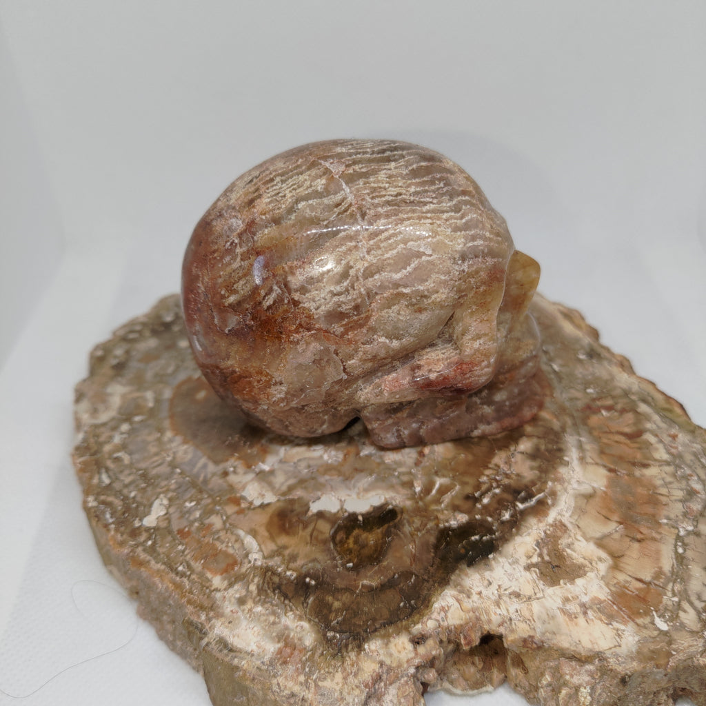 Thousand Layer Garden Quartz Skull Ref: 0378