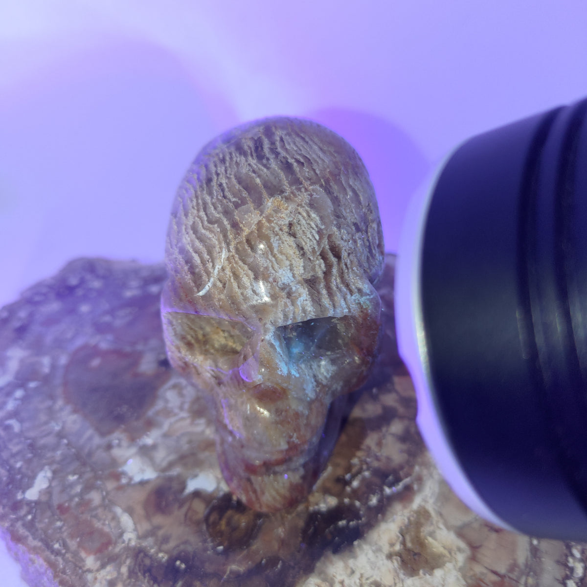 Thousand Layer Garden Quartz Skull Ref: 0378