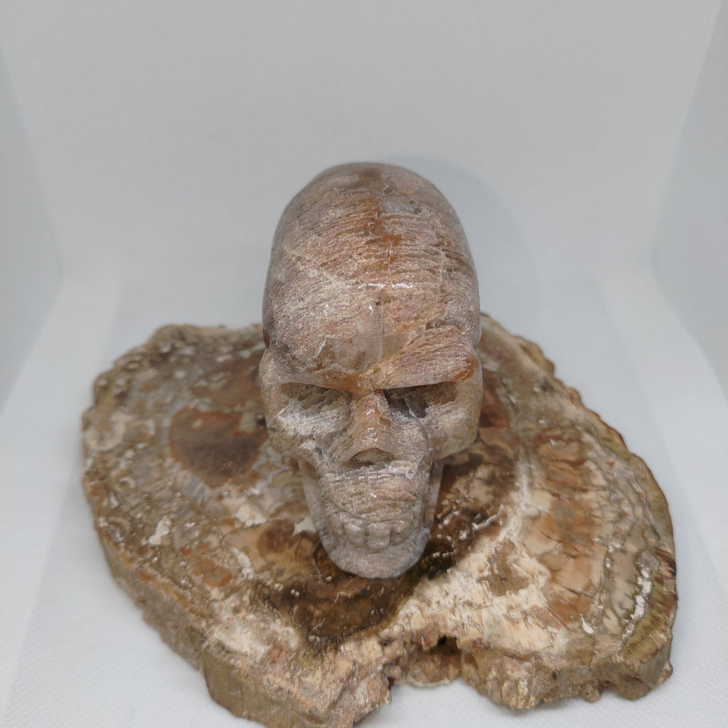 Thousand Layer Garden Quartz Skull Ref: 0379