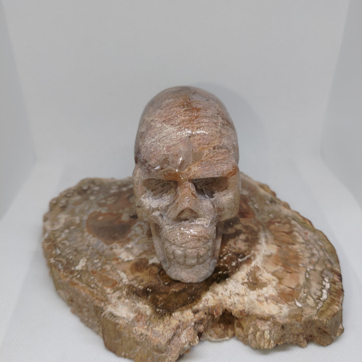 Thousand Layer Garden Quartz Skull Ref: 0379
