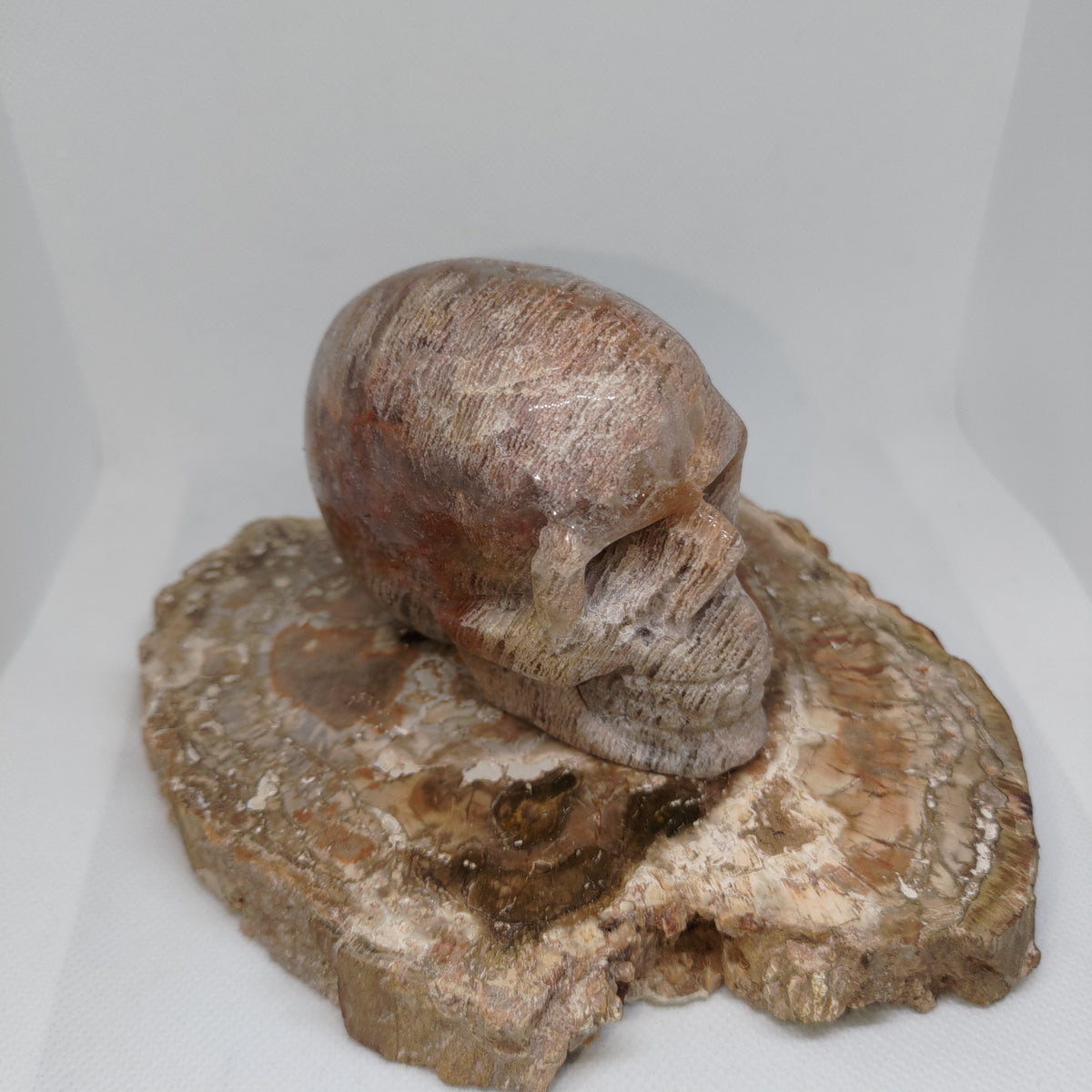Thousand Layer Garden Quartz Skull Ref: 0379