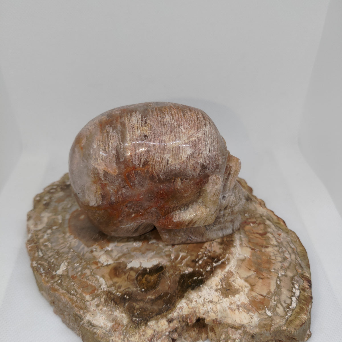 Thousand Layer Garden Quartz Skull Ref: 0379