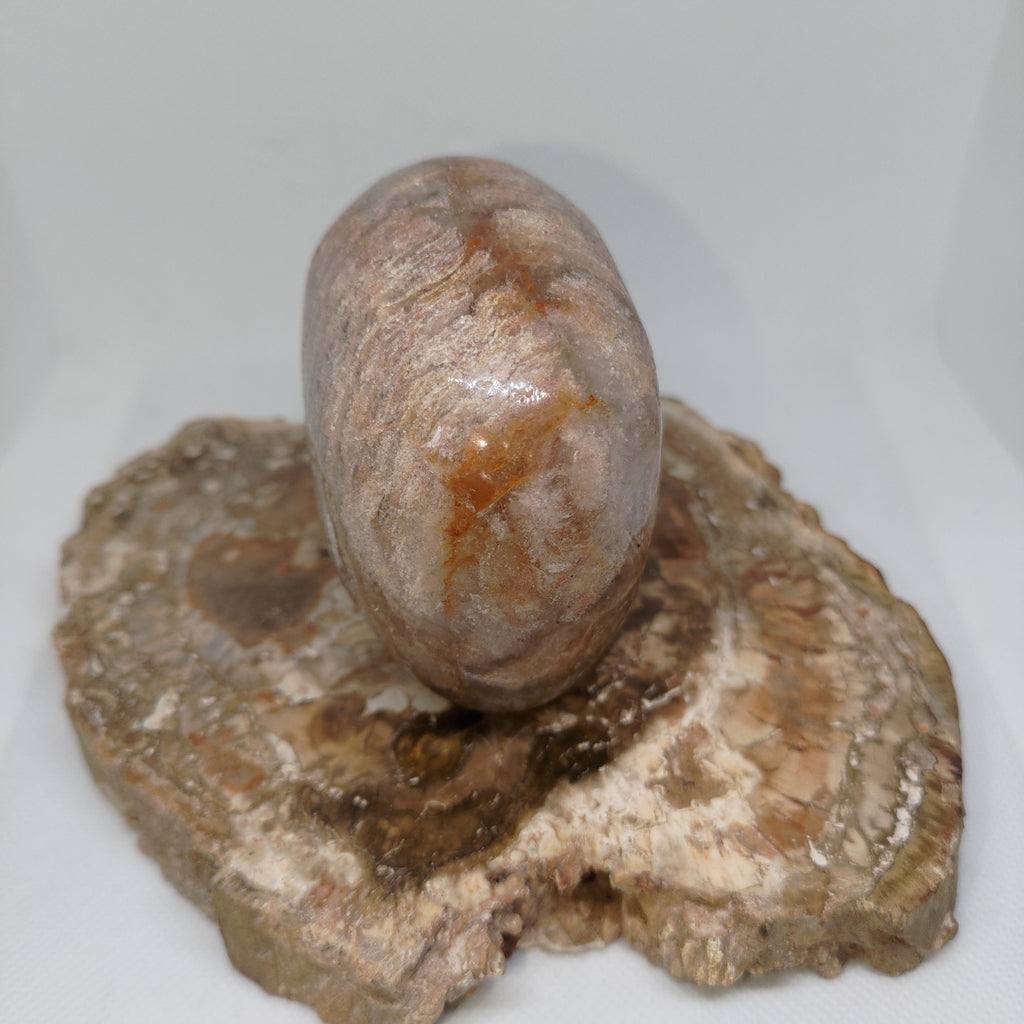 Thousand Layer Garden Quartz Skull Ref: 0379