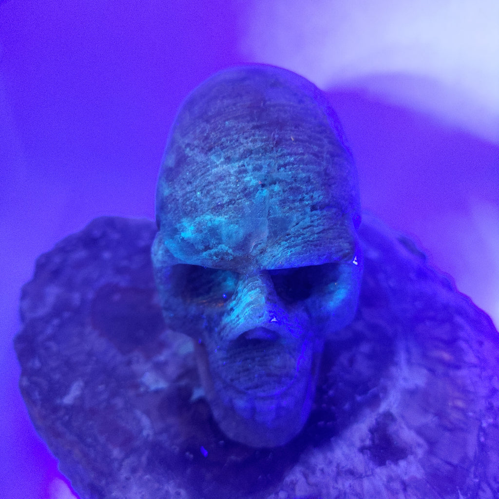Thousand Layer Garden Quartz Skull Ref: 0379