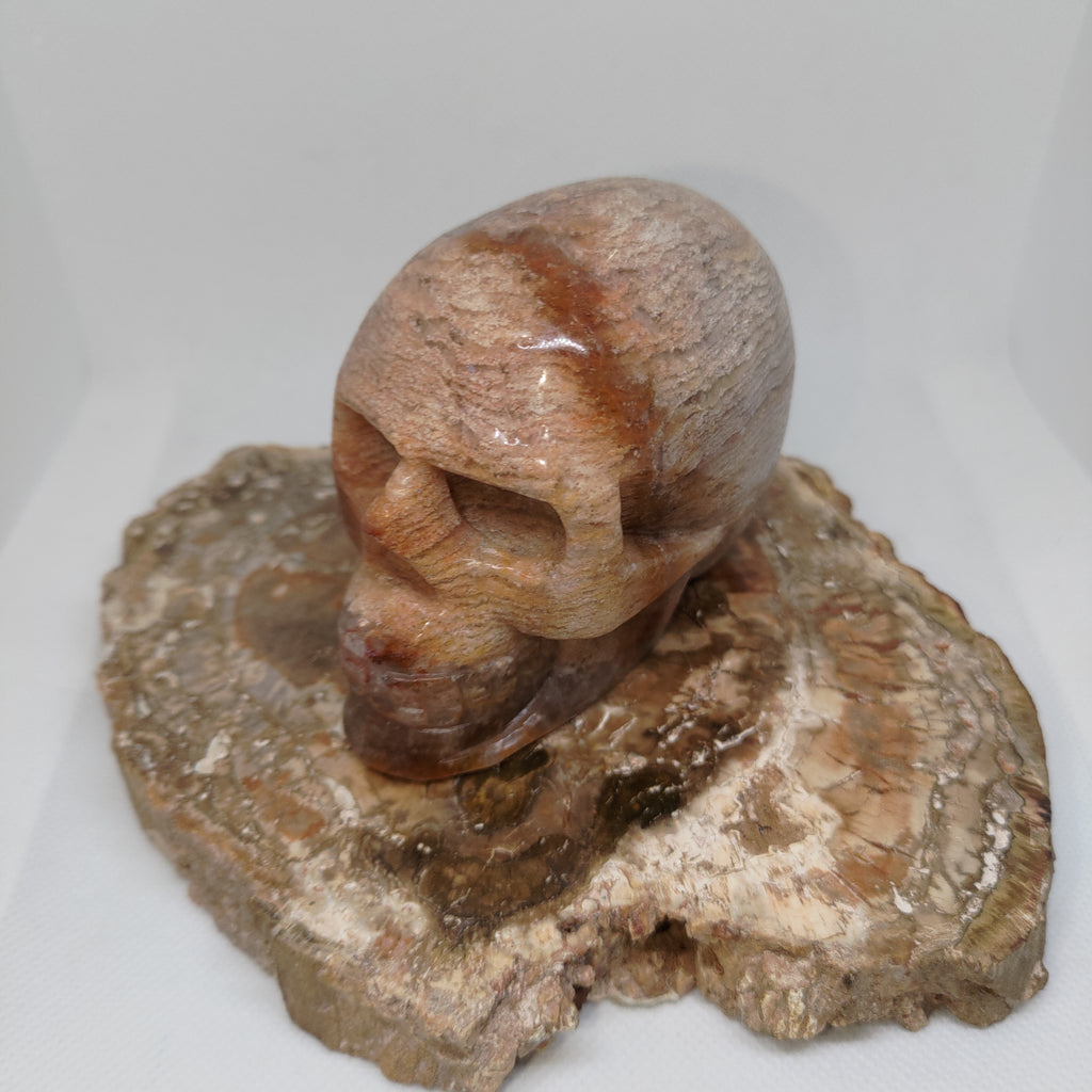 Thousand Layer Garden Quartz Skull Ref: 0380