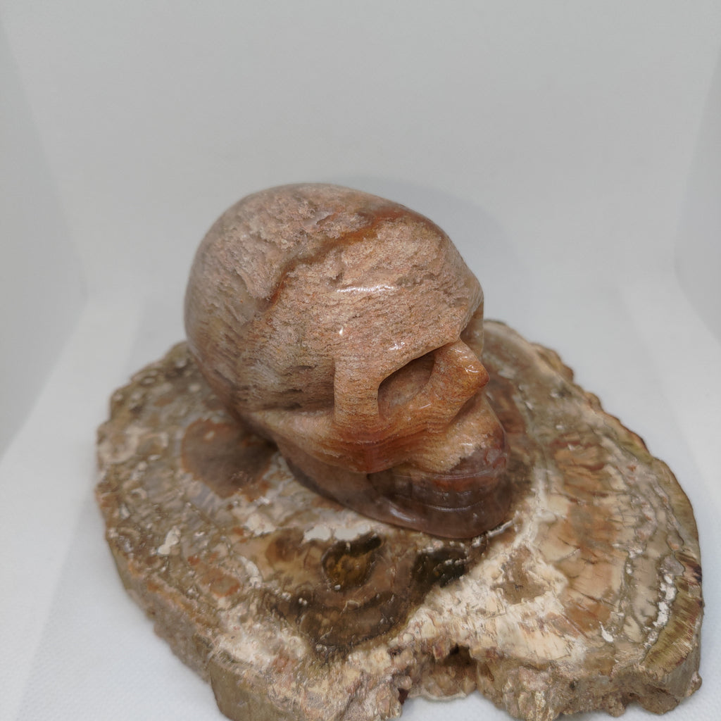 Thousand Layer Garden Quartz Skull Ref: 0380