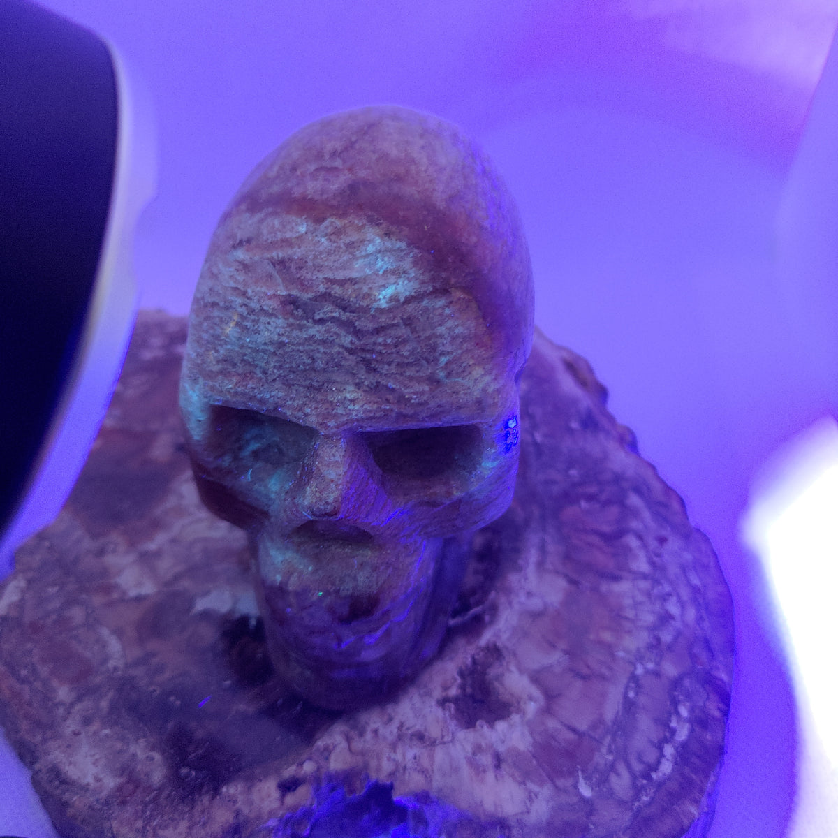 Thousand Layer Garden Quartz Skull Ref: 0380
