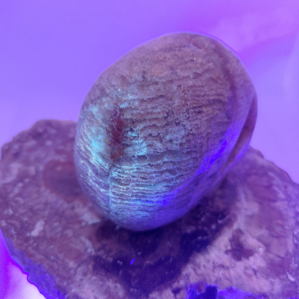 Thousand Layer Garden Quartz Skull Ref: 0380