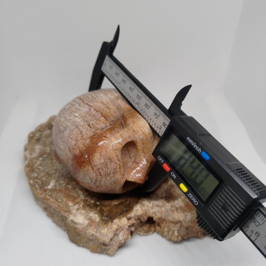 Thousand Layer Garden Quartz Skull Ref: 0380