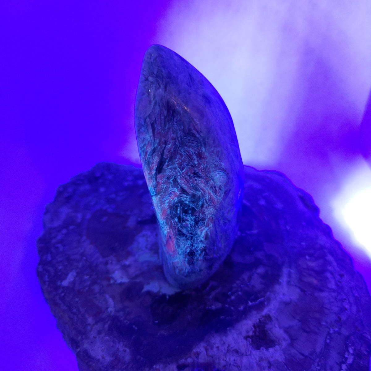 Green and Blue Kyanite in Quartz Matrix Freeform Ref: 0386